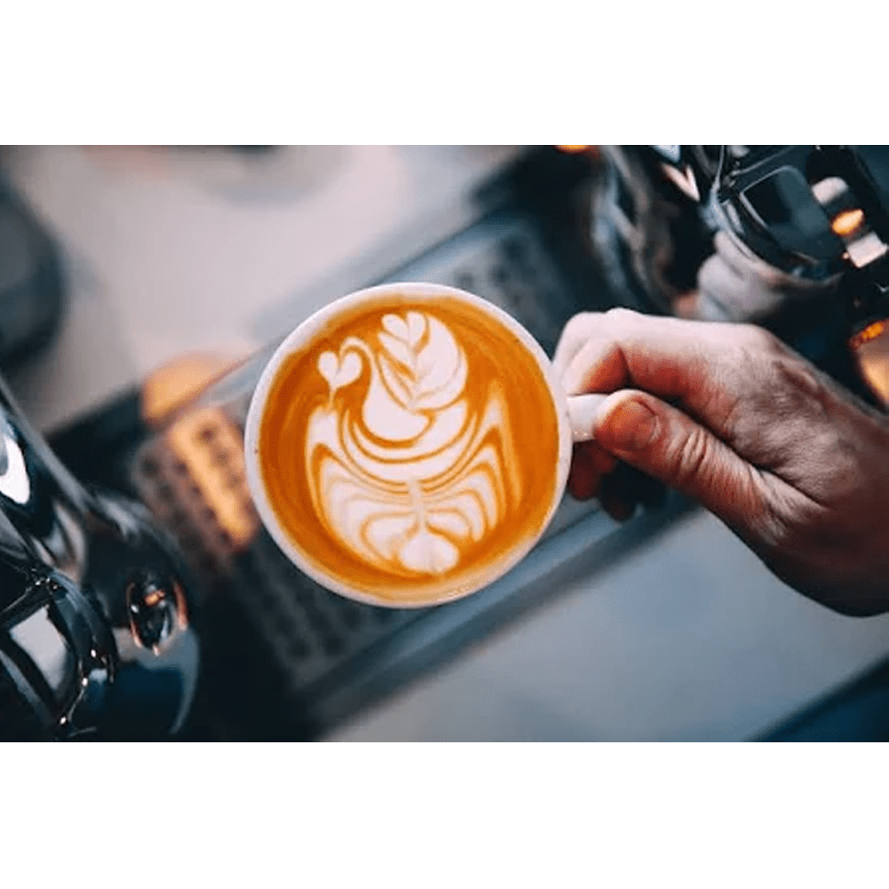 DeLonghi Milchbehälter Magnifica START-EVO / DLSC035