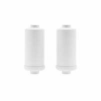 Fluorid- und Arsen-Wasserfilter (2St.) geeignet für Schwerkraftfiltersystem AS-WD010