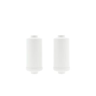 Fluorid- und Arsen-Wasserfilter (2St.) geeignet für Schwerkraftfiltersystem AS-WD010