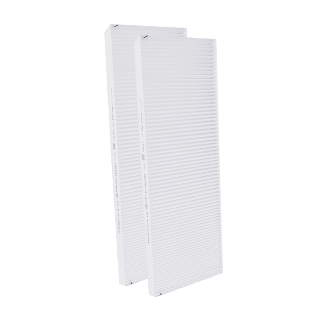 Filter Coarse 65% geeignet für Buva EcoStream (2St.)