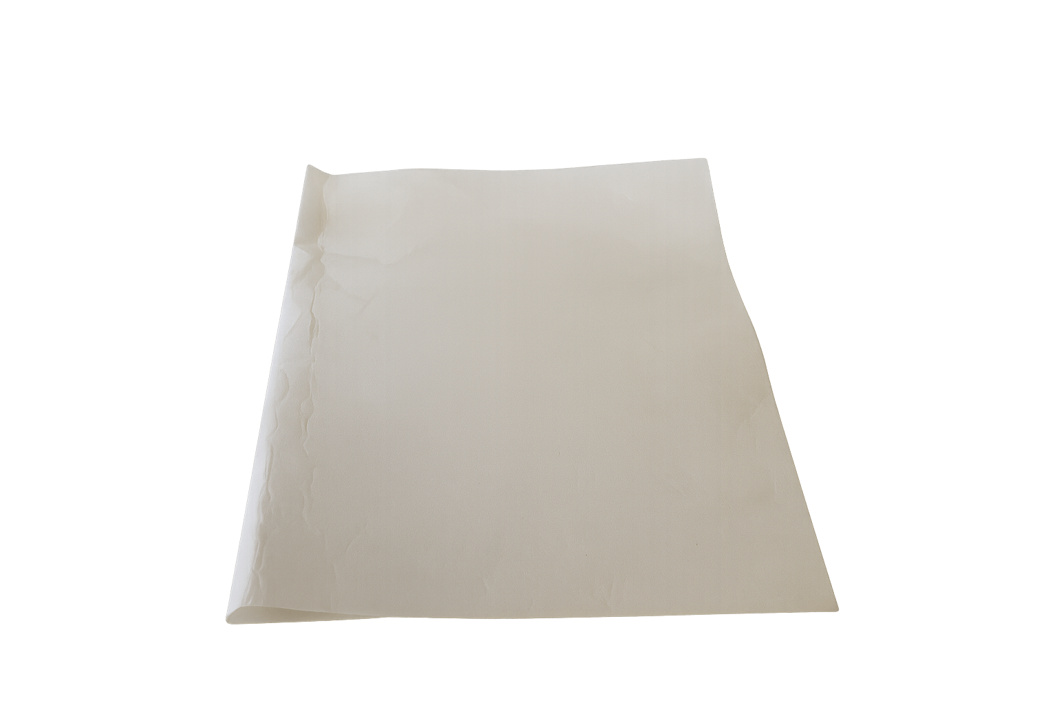 Faure Fettfilter 50237070003