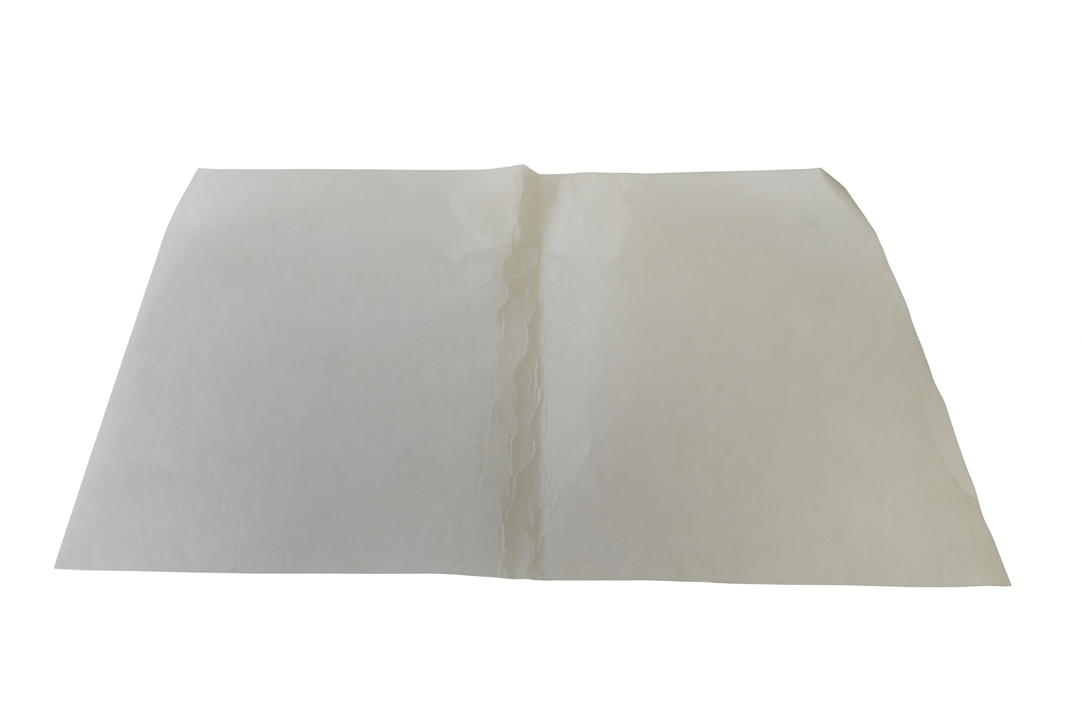 Faure Fettfilter 50237070003