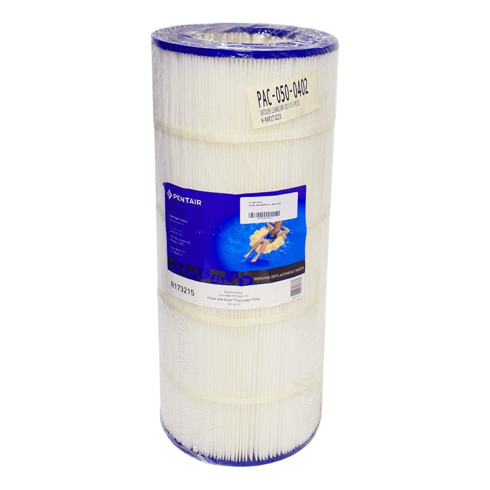 Pentair Pool Wasserfilter Clean & Clear 100, CNC-RP100