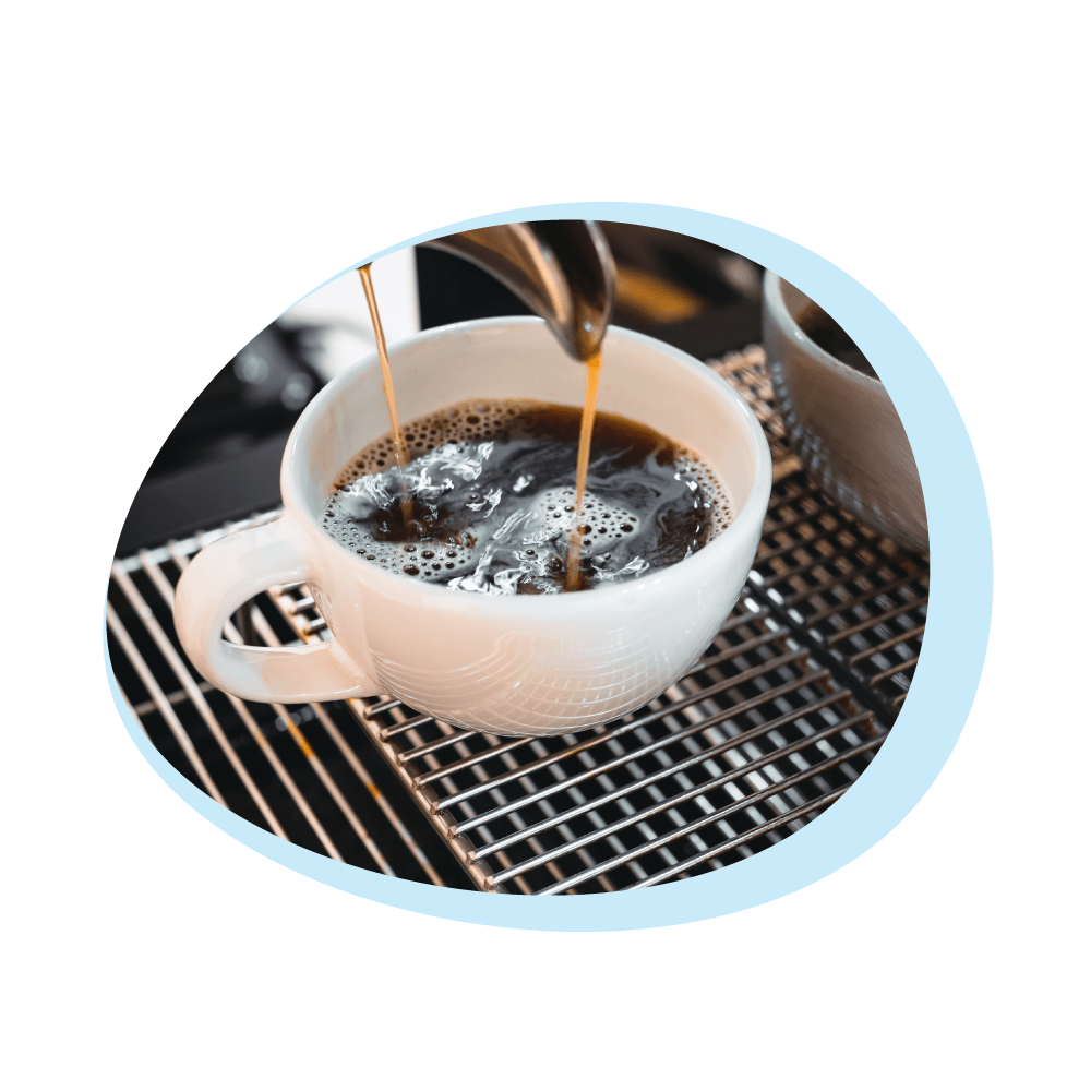 AllSpares Universal Flüssig-Entkalker für Kaffeemaschinen (250ml)