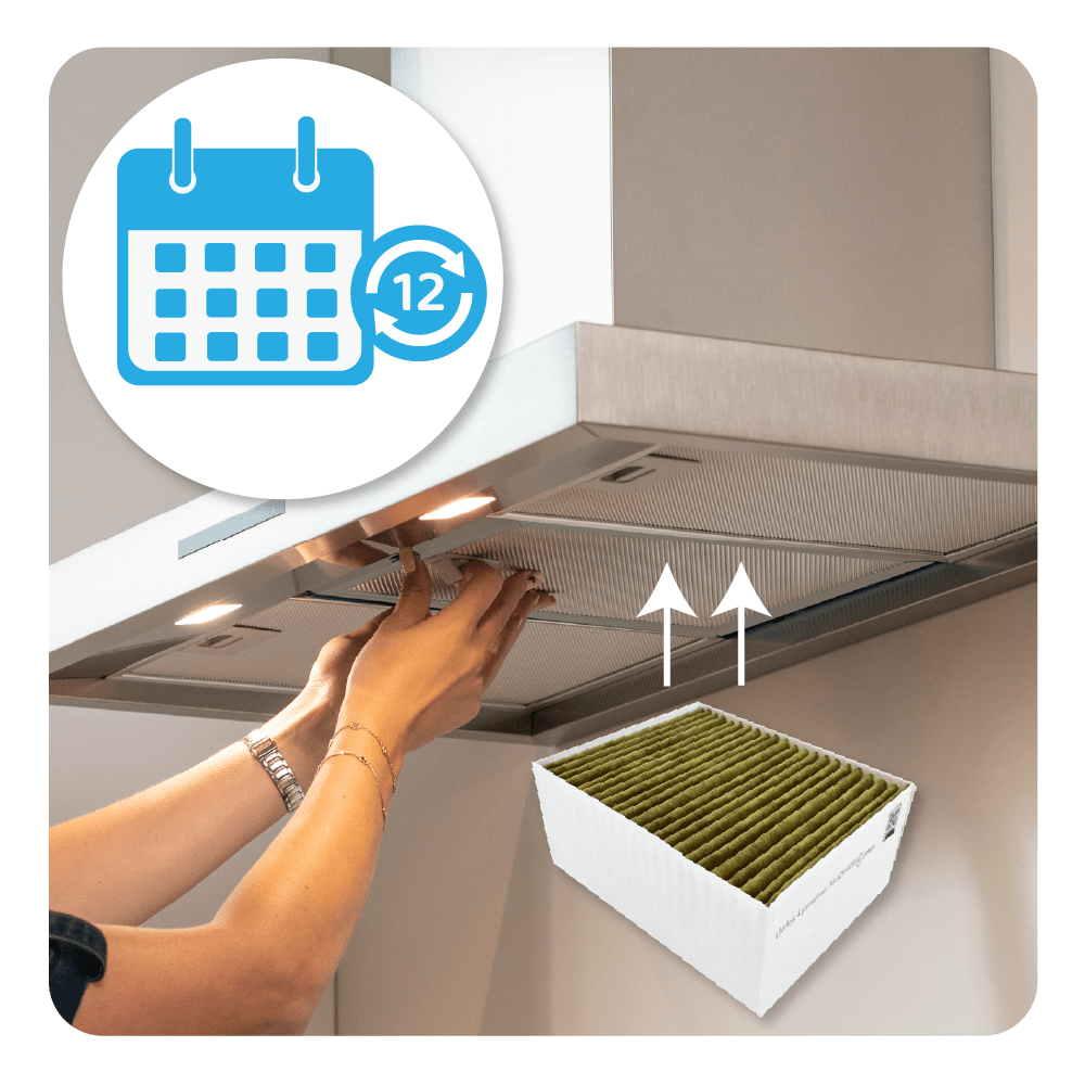 CleanAir Plus Aktivkohlefilter geeignet für Bosch 11033934 / 11017314